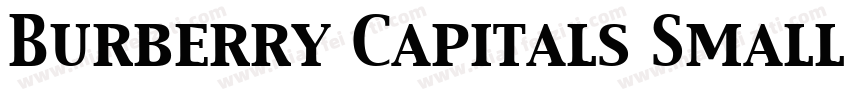 Burberry Capitals Small Regular字体转换